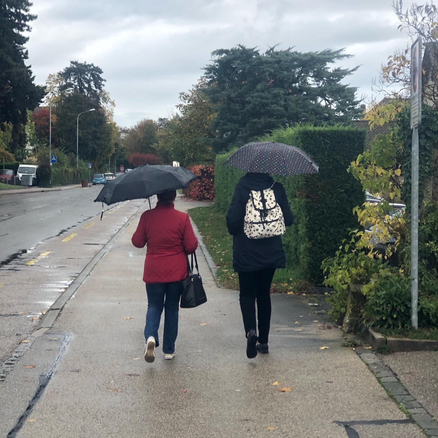 The idiocy of umbrellas. Slow walkers blocking the pavement