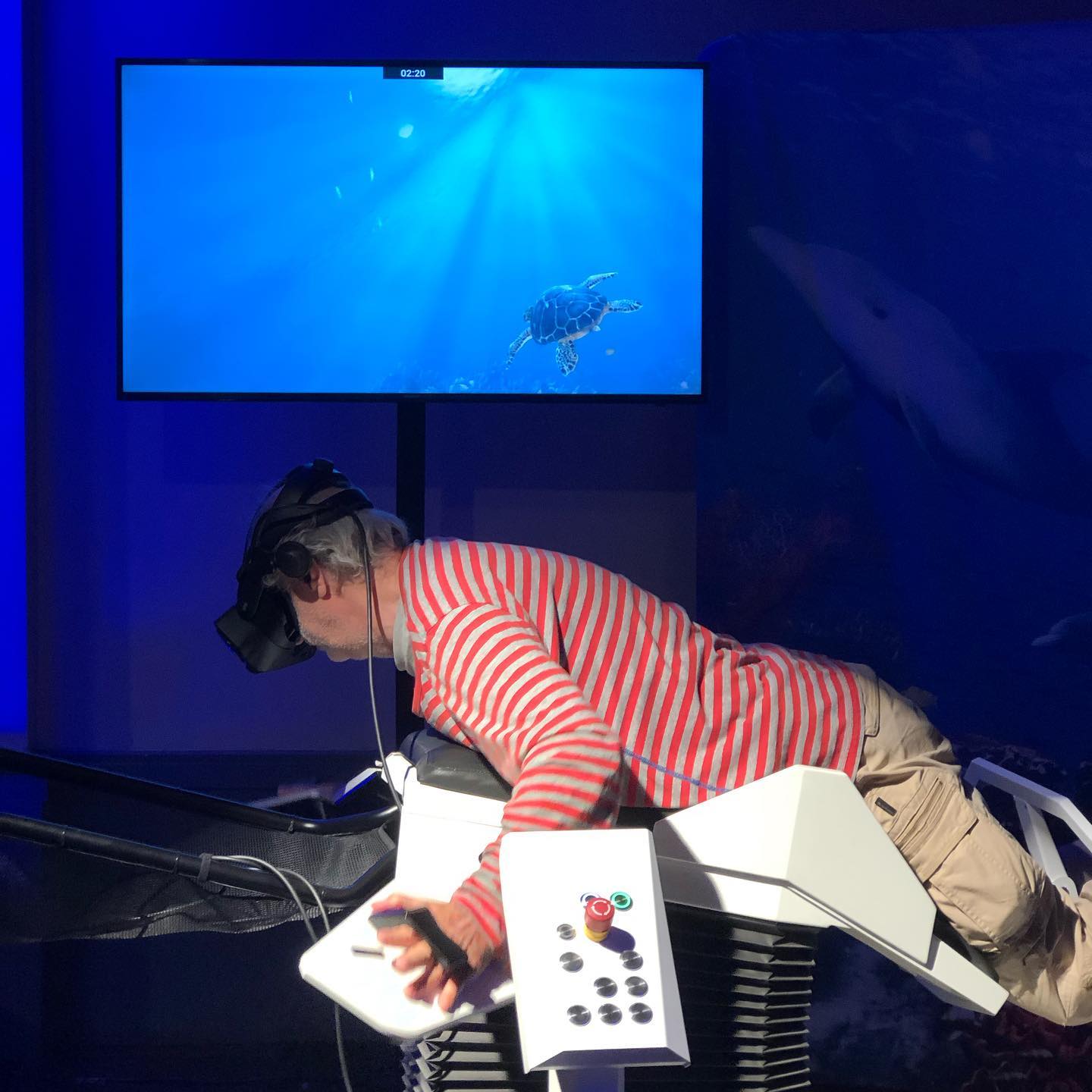 He thinks he is a turtle