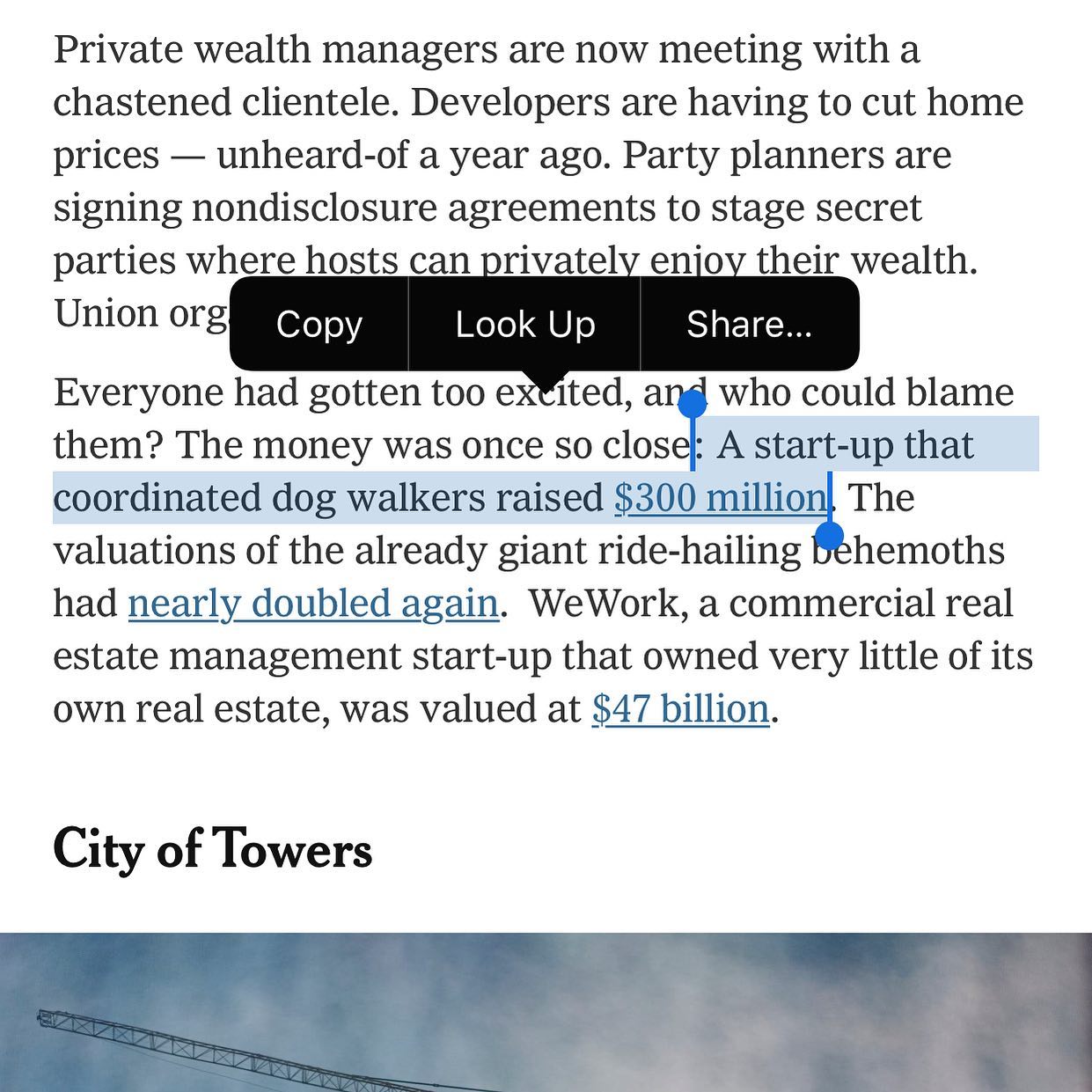 If only I didnât have a fear of dogs.