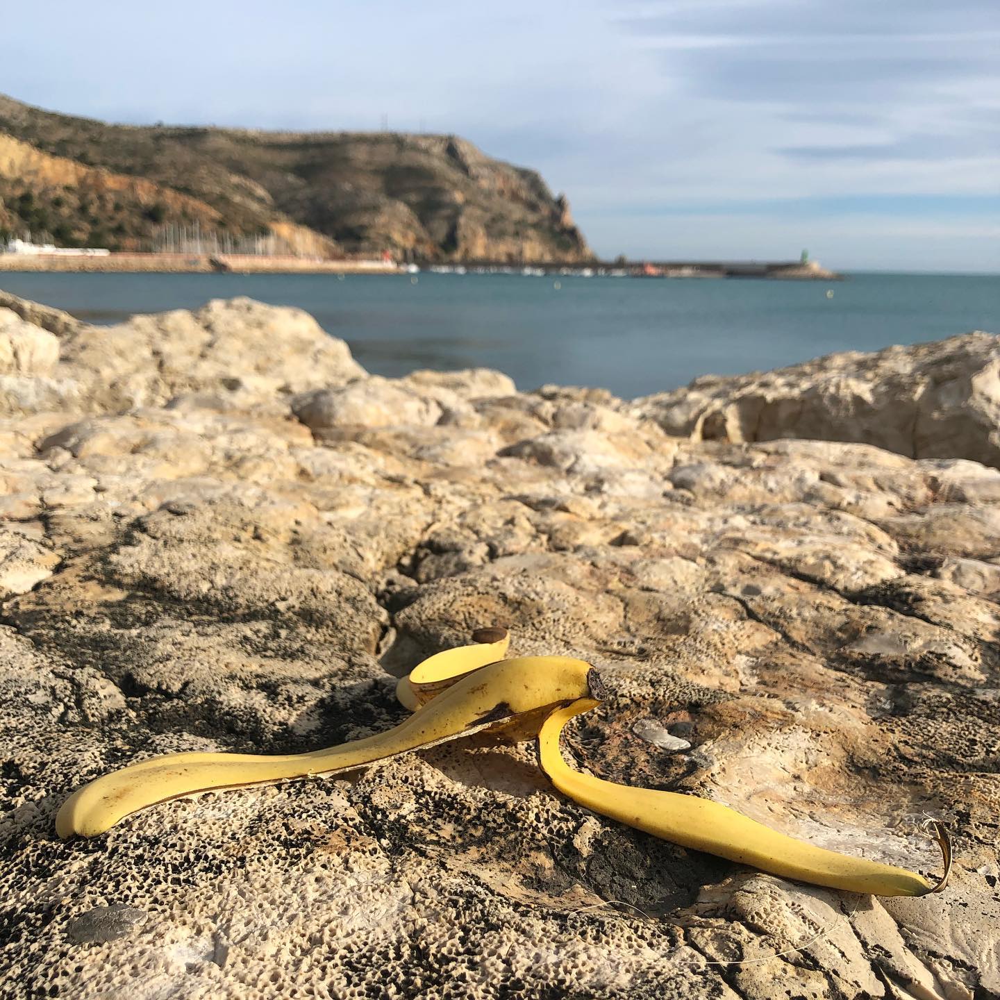 Waiting for the Millionaire bin person. ;-)