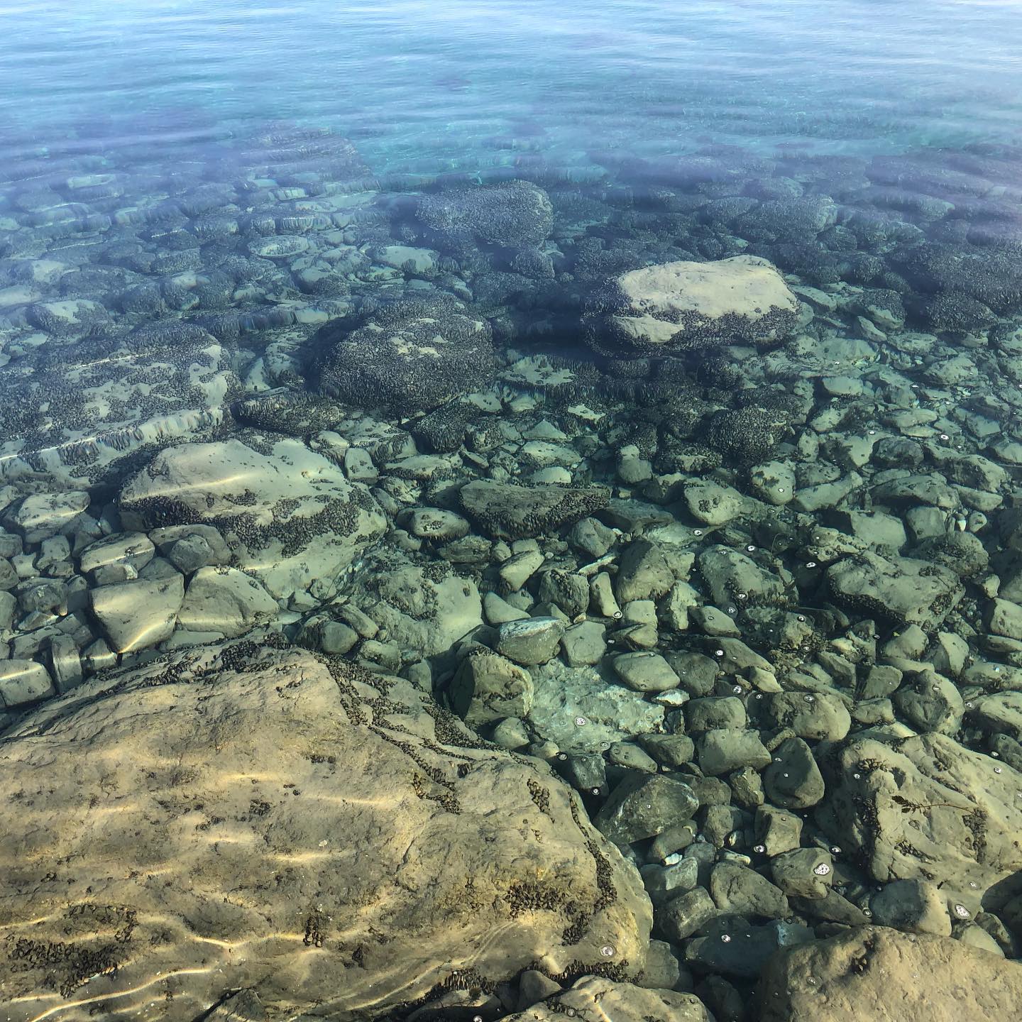 A clear water lake. The Lac LÃ©man is surprisingly clear today. Itâs rare to see it like this.