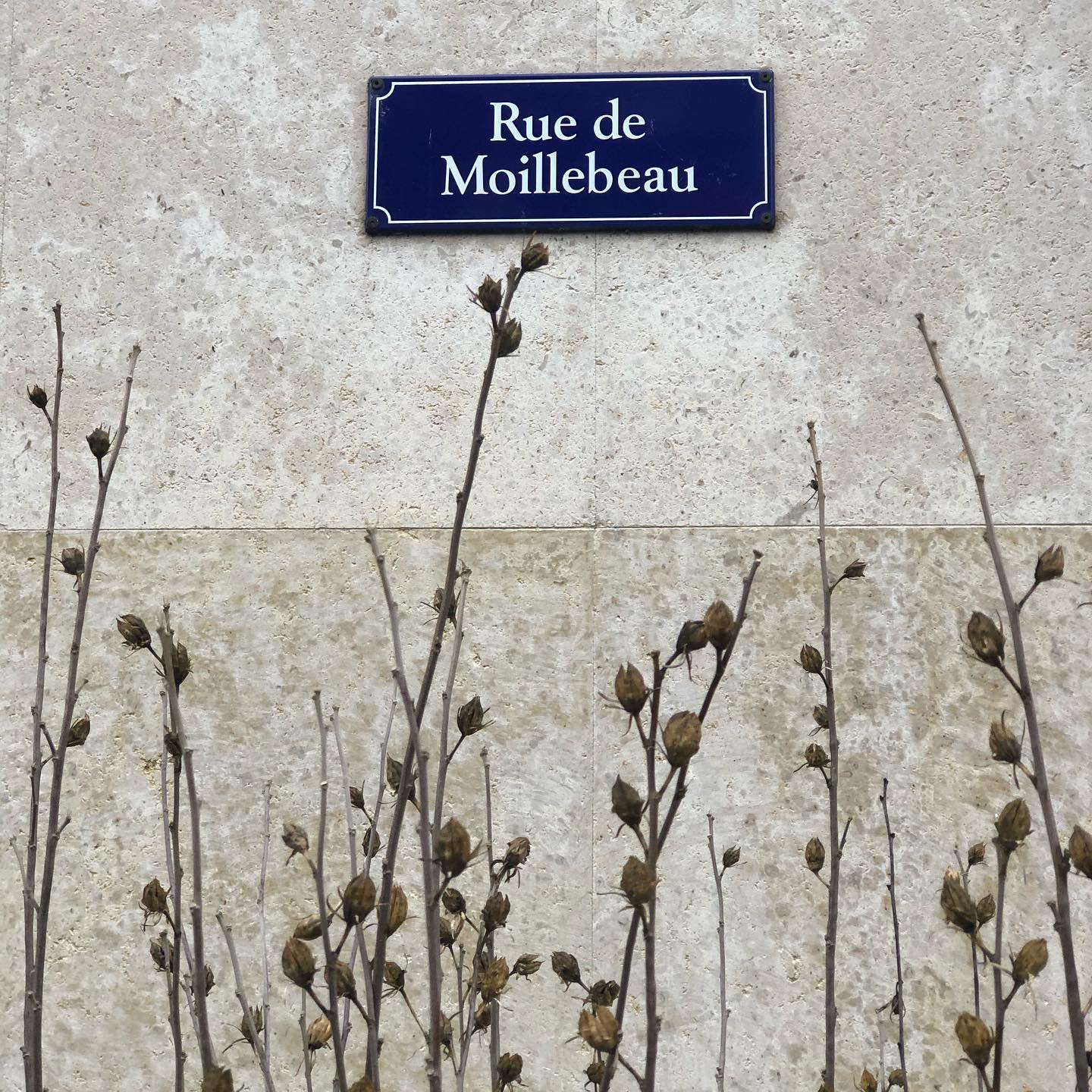 Pas toi le moche ;-)