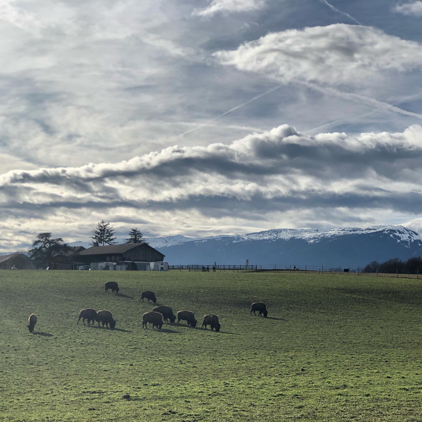 They are in a different field, or they have more of them.