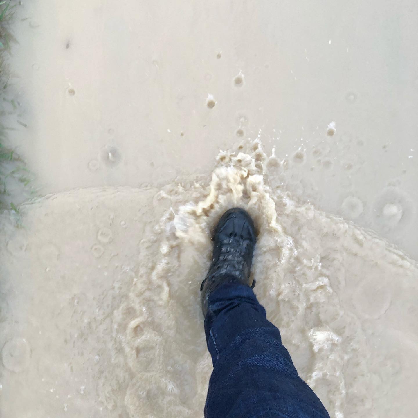 I was right to take hiking shoes.