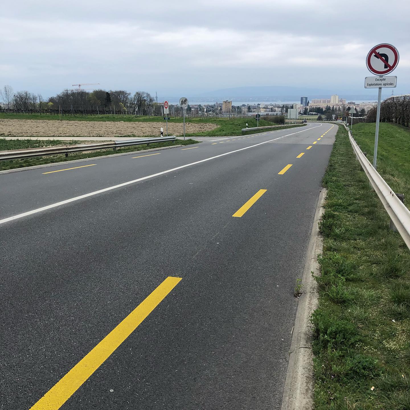 Life in a pandemic. Nature is master once again.