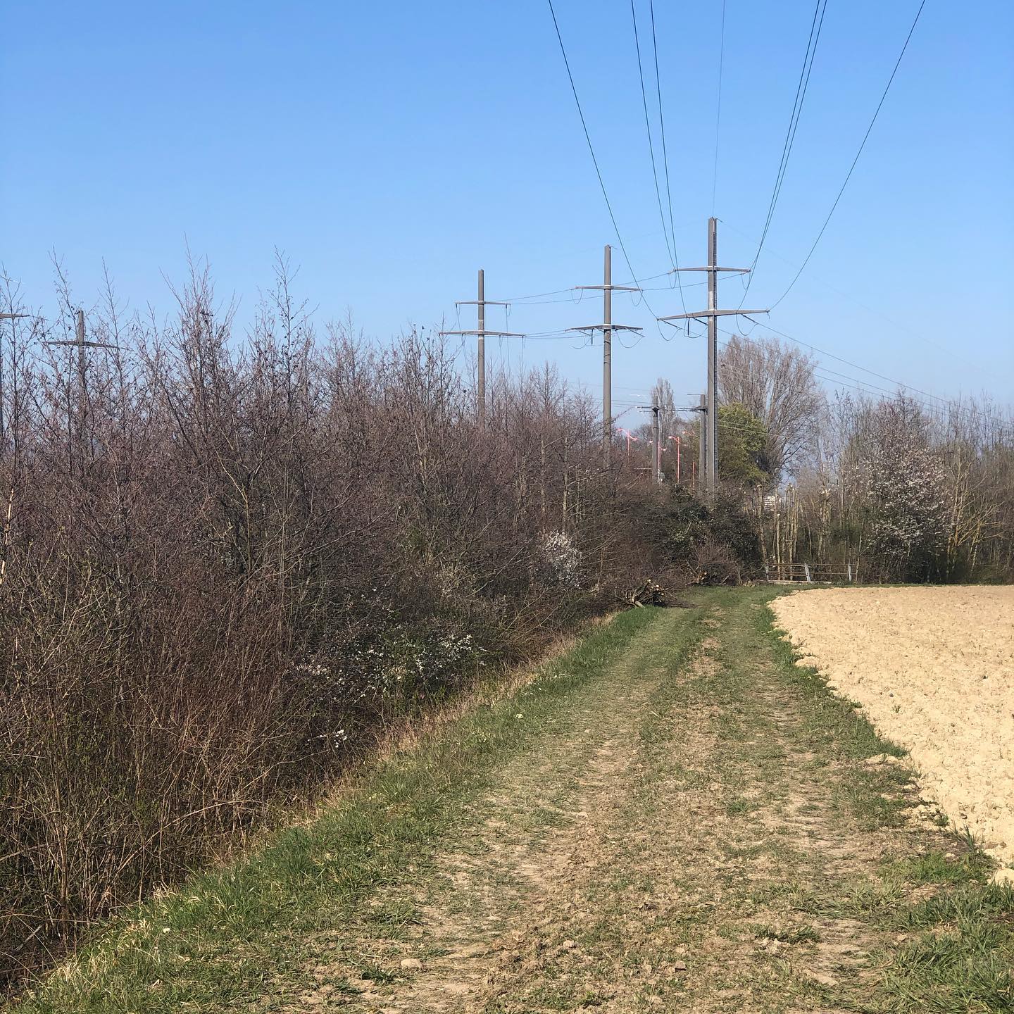 âThe road less travelled has never been this relevant. We must stay distant from others.