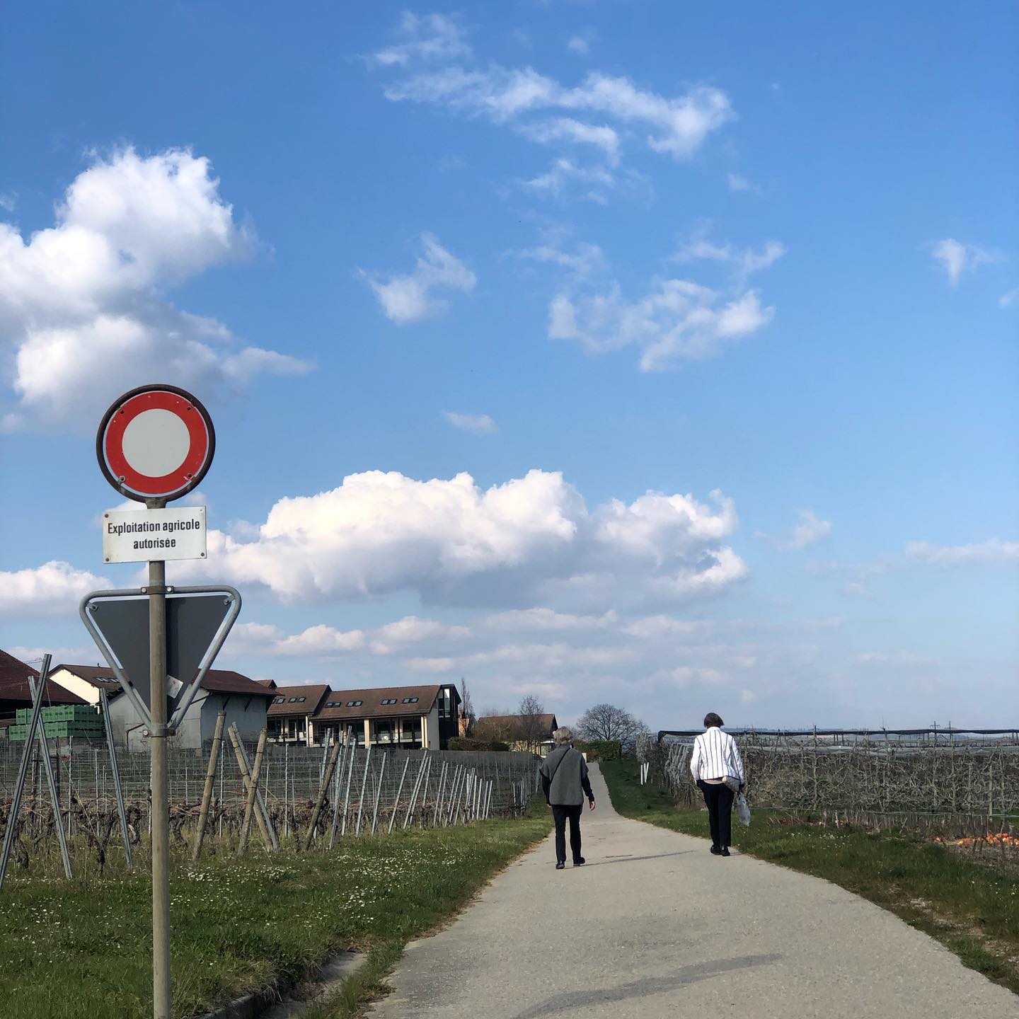 I wish idiots wouldnât walk like this during a pandemic.walk single file.