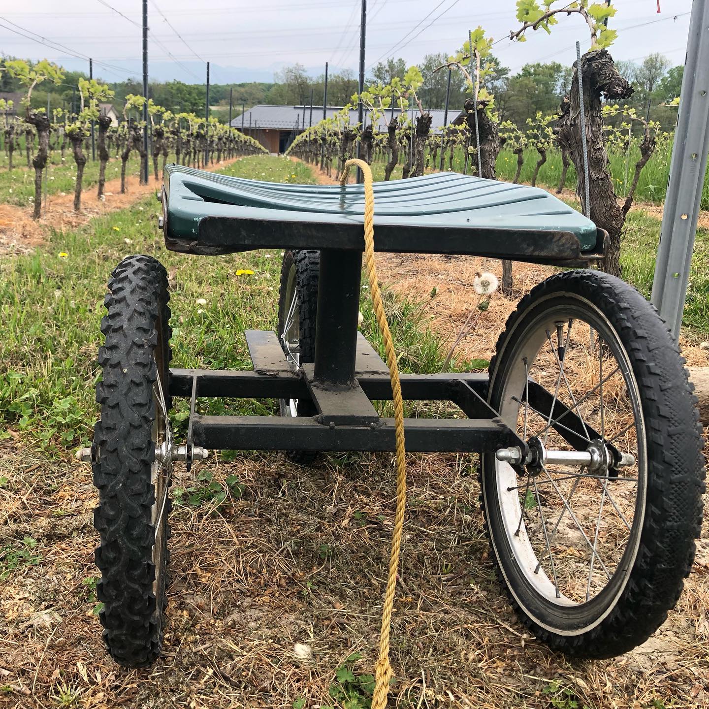 Uninspired to walk and my legs need to recover anyway.