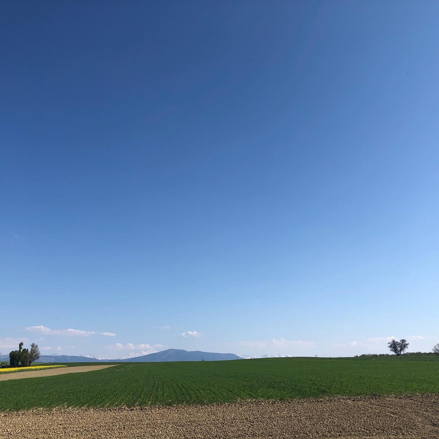 Loin des foules. @regiondenyon