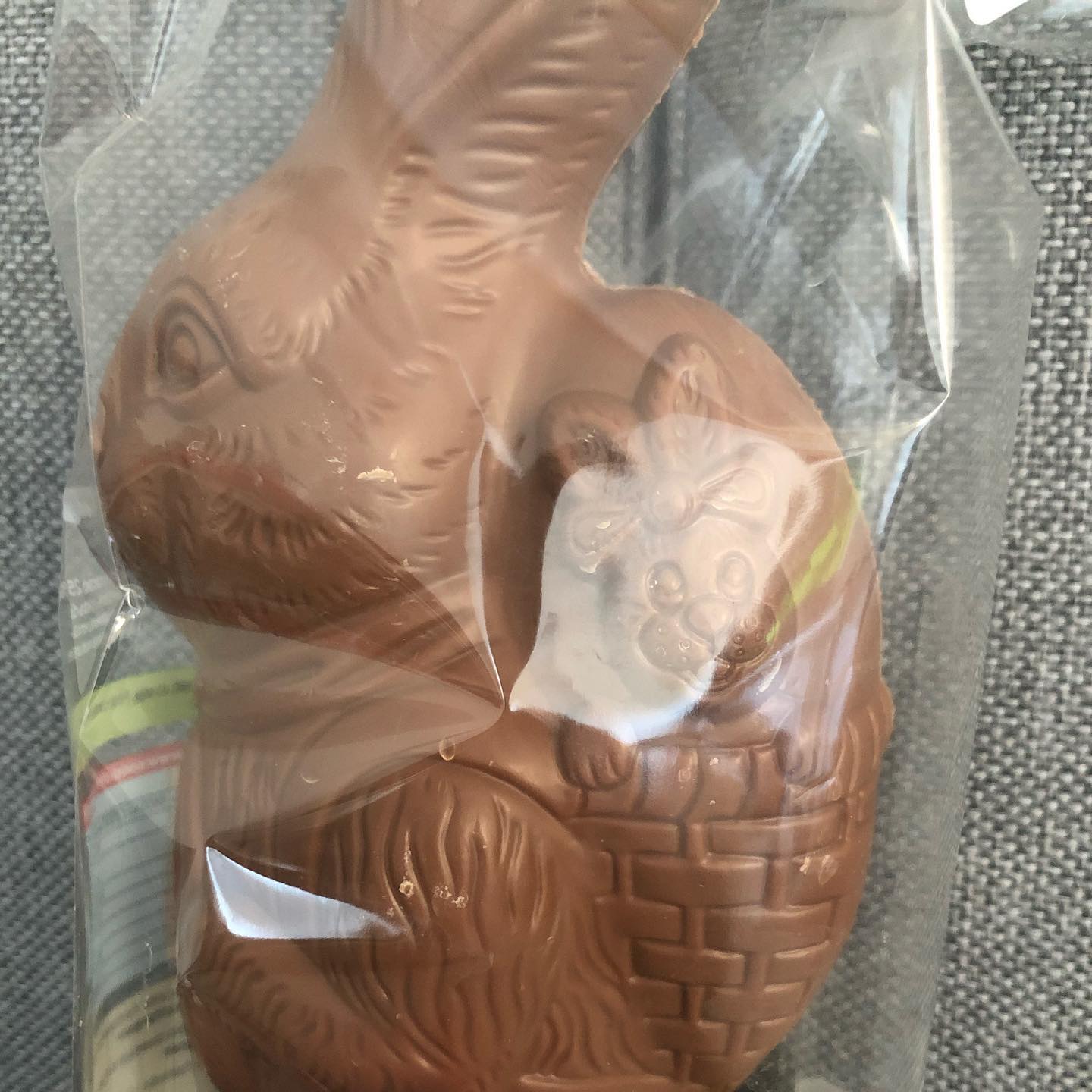 âEmergency rabbitâ