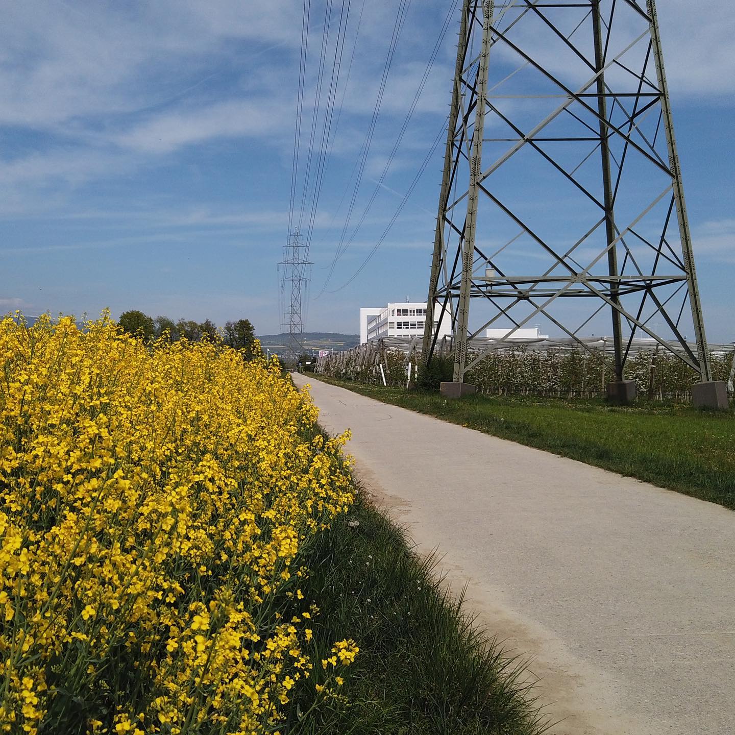 Playing with the DJI osmo pocket.