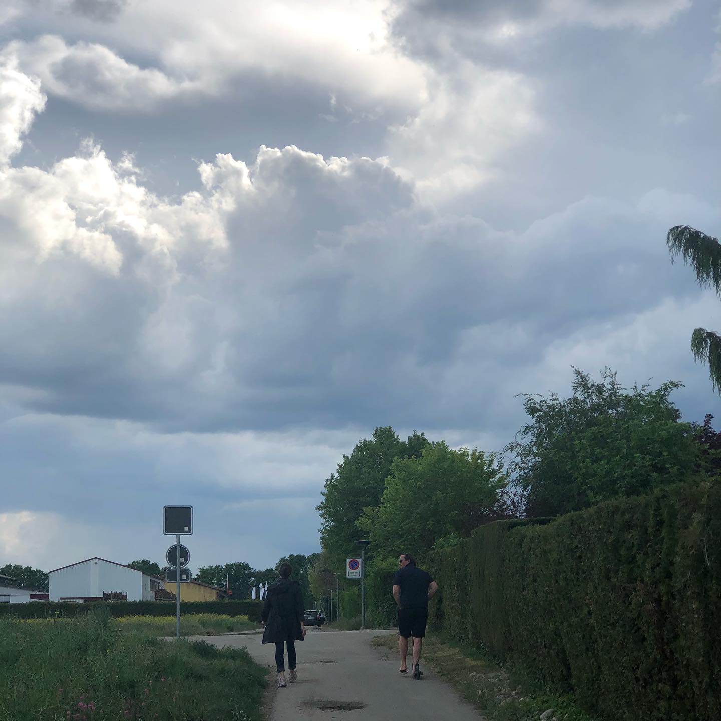 This stupid family forced me to walk in a field to avoid compromising the two meter rule. Itâs disgusting behaviour. Itâs day 43 for foxtrotâs sake.they thought I would say hello back. Not a chance.