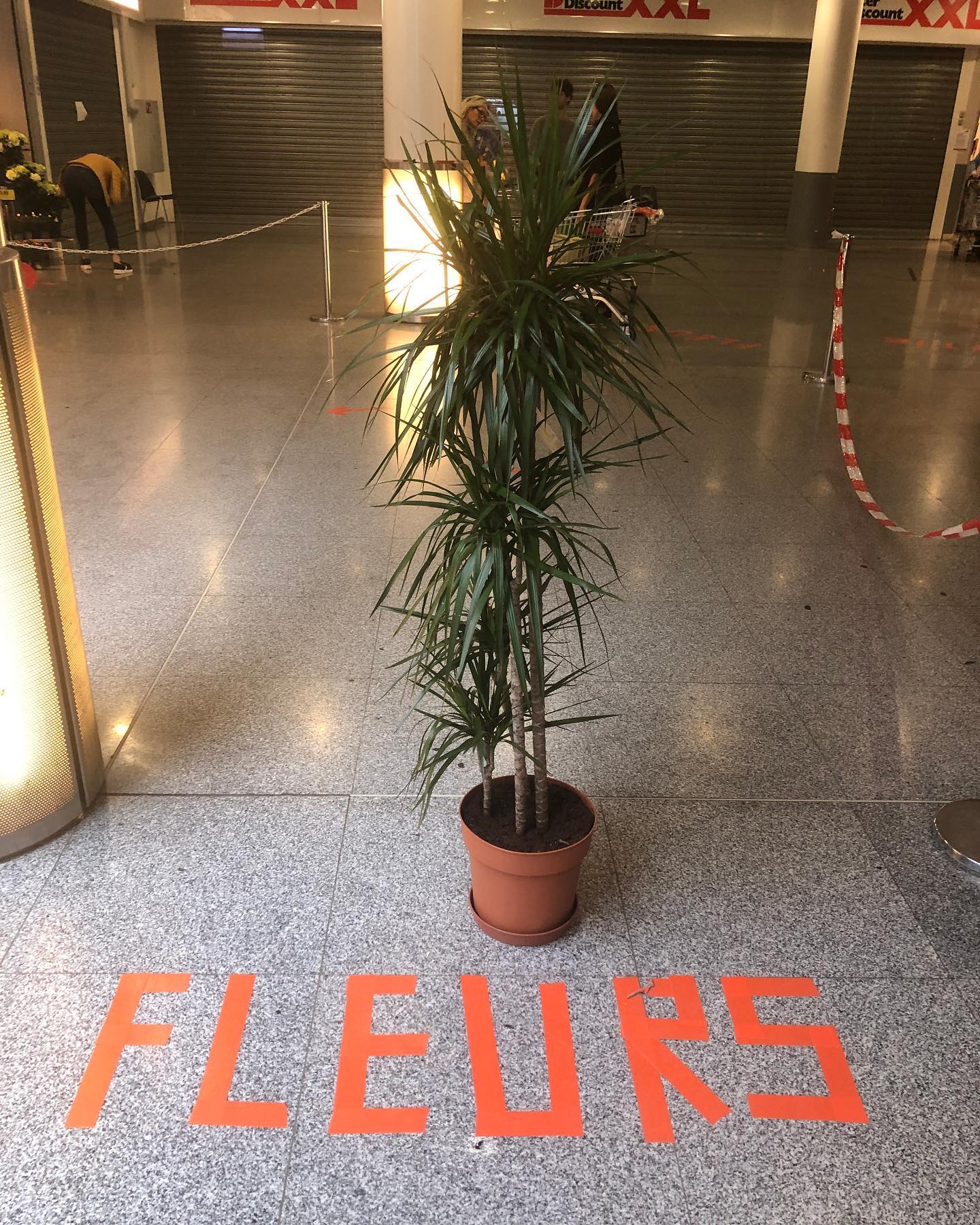 In case people forgot what flowers look like. ;-)