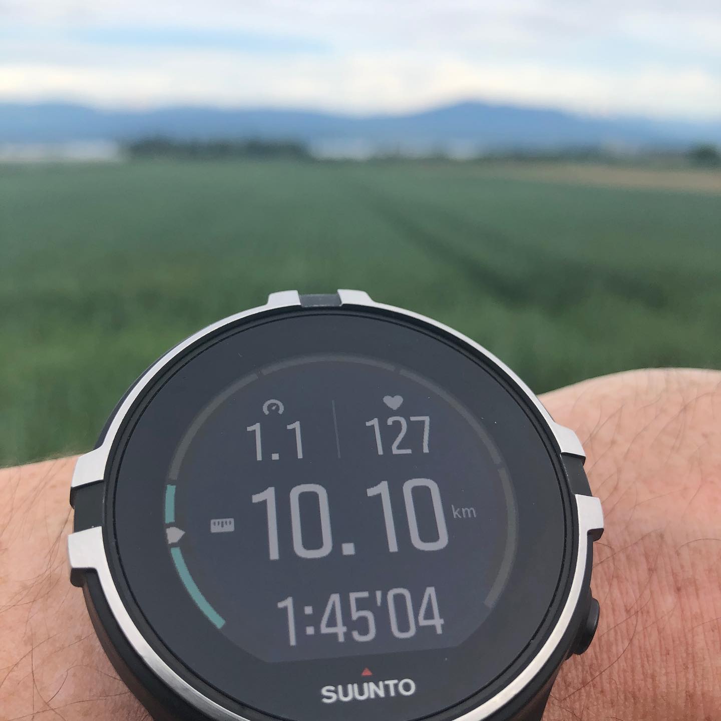 #dailywalk #suunto view of the alps.