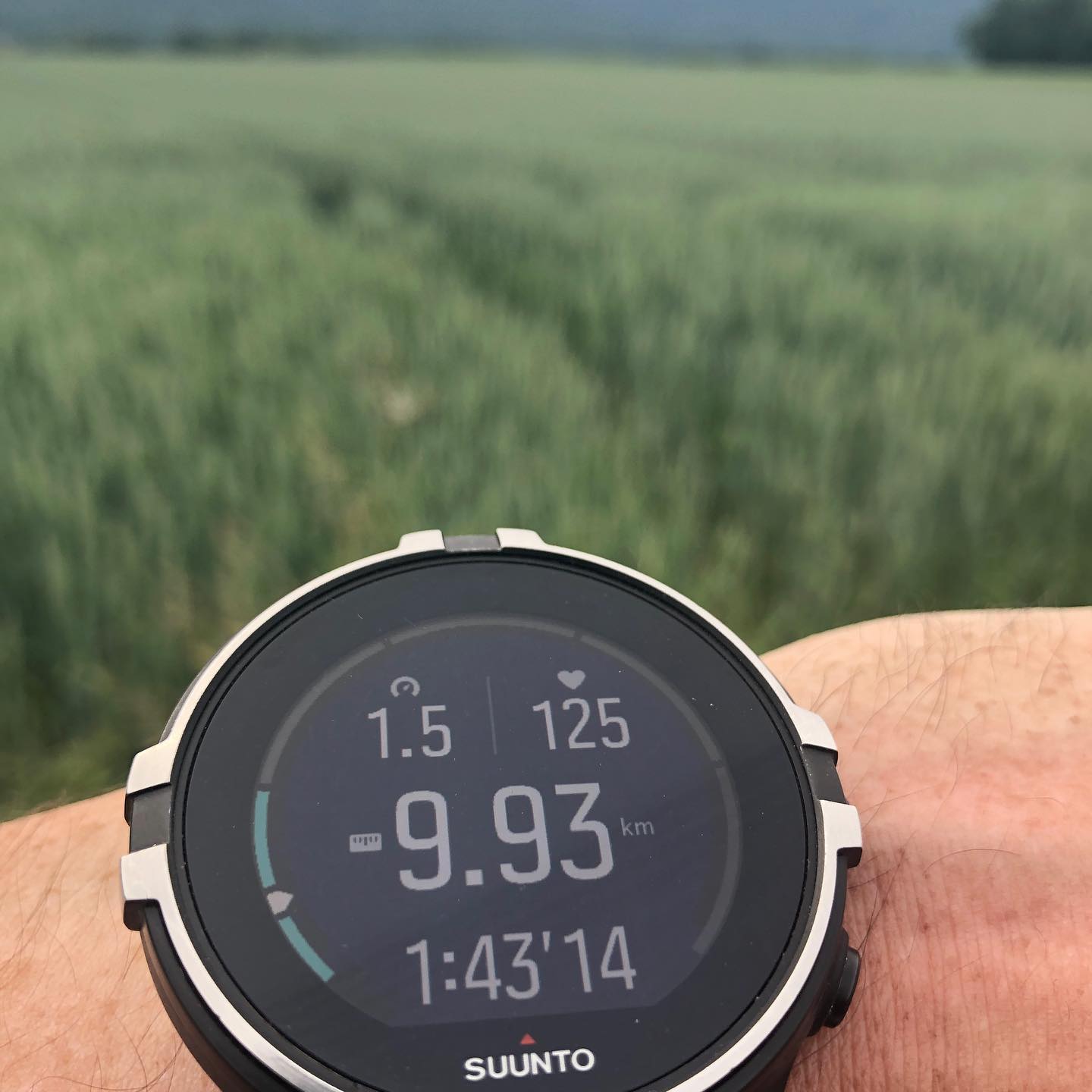 I am not walking through the field. I just composed the shot this way. #suunto #dailywalk