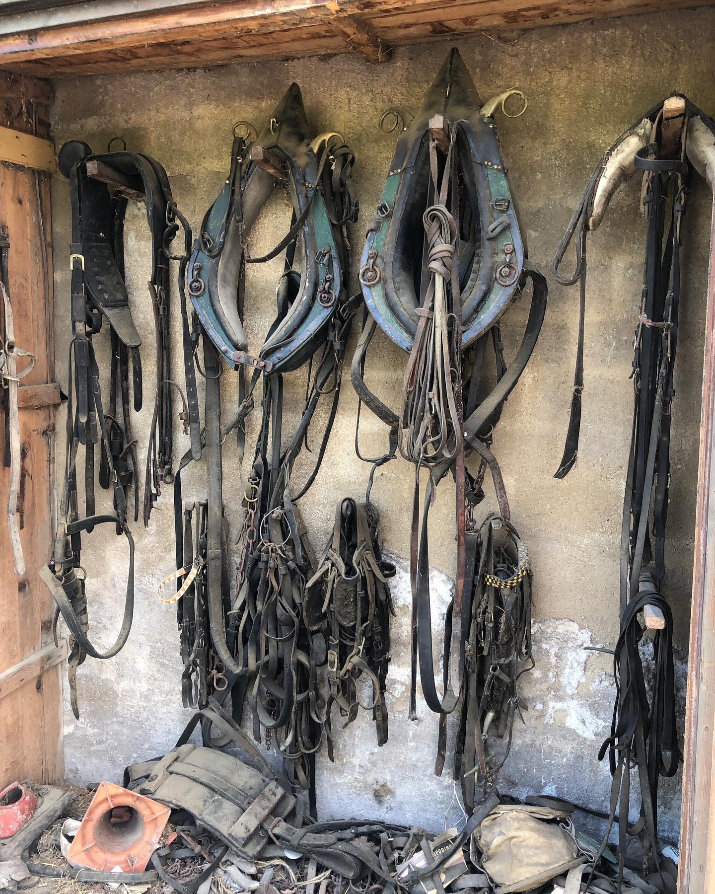 Unbridled passion. :-P