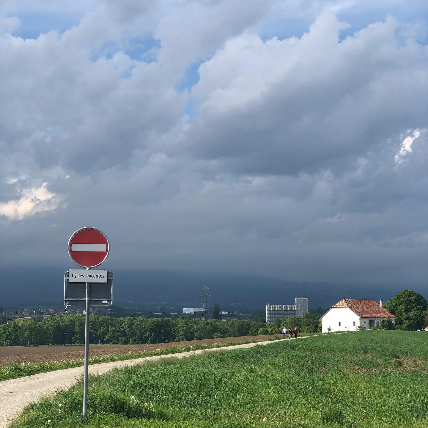 Three asparagus walking side by side during a pandemic blocking the road. People are still selfish and stupid.