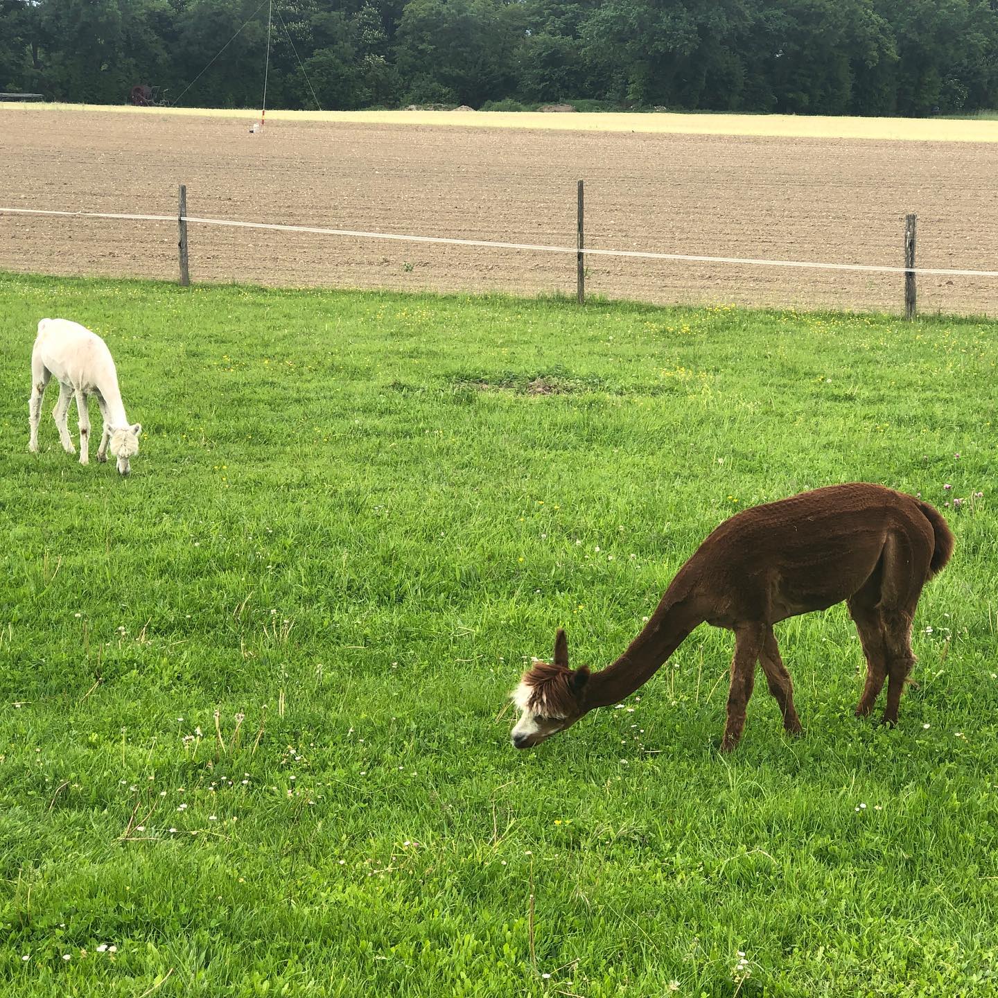 Took a break from one browser to look at another.