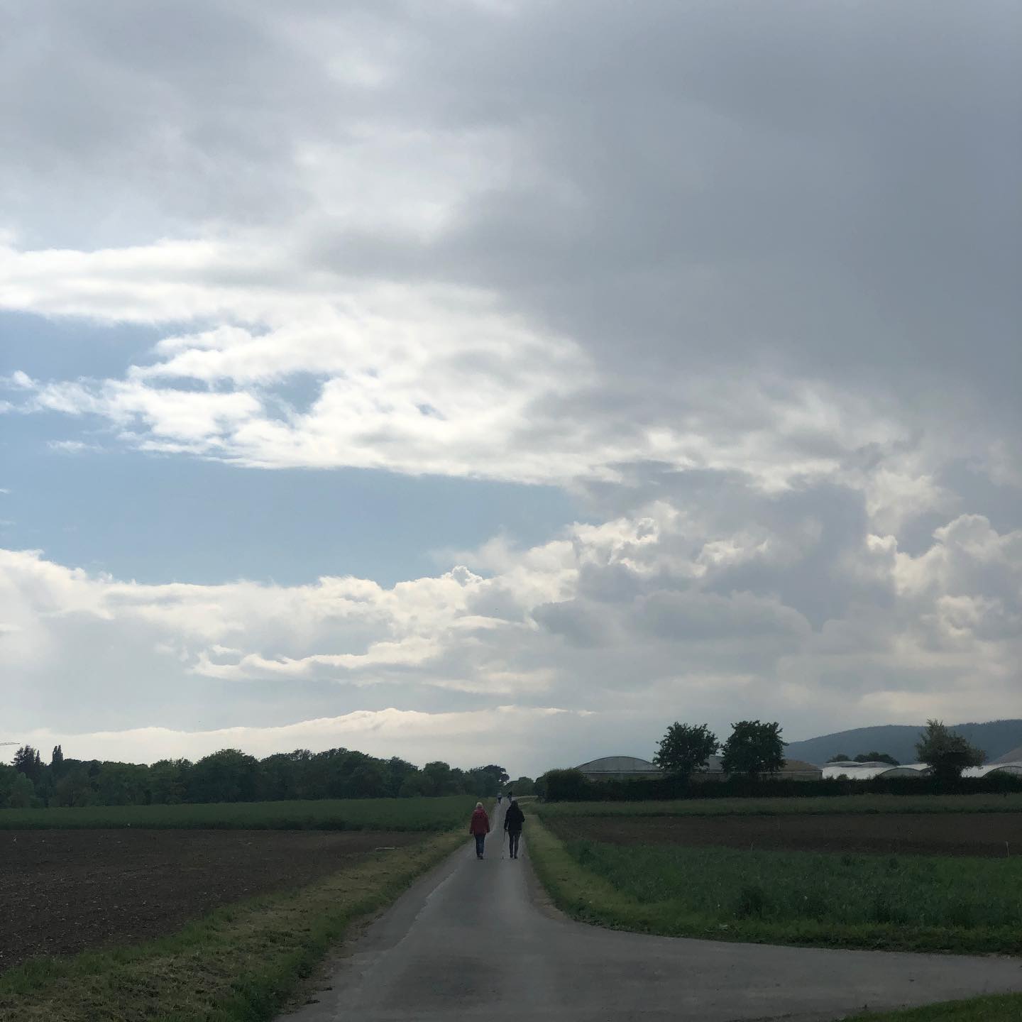 People walking side by side rather than one behind the other. Changing my route as a result. Tired of this selfishness.