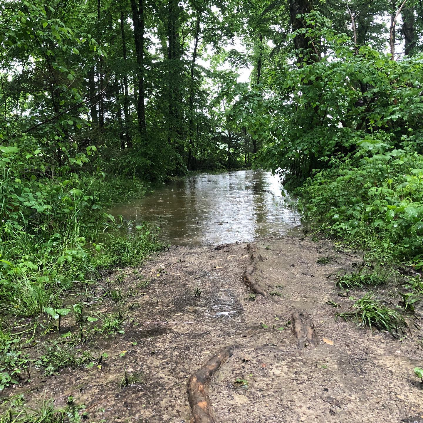 Check my Tik Tok account to see what I ended up doing. :-)