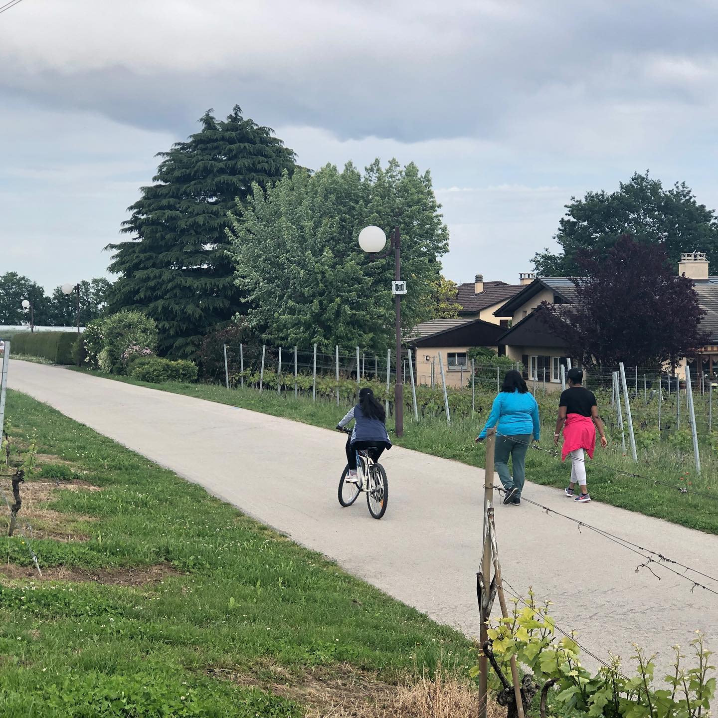 You must stay two meters from people. âLet s build a wall across the road.â At least the virus is dying out.