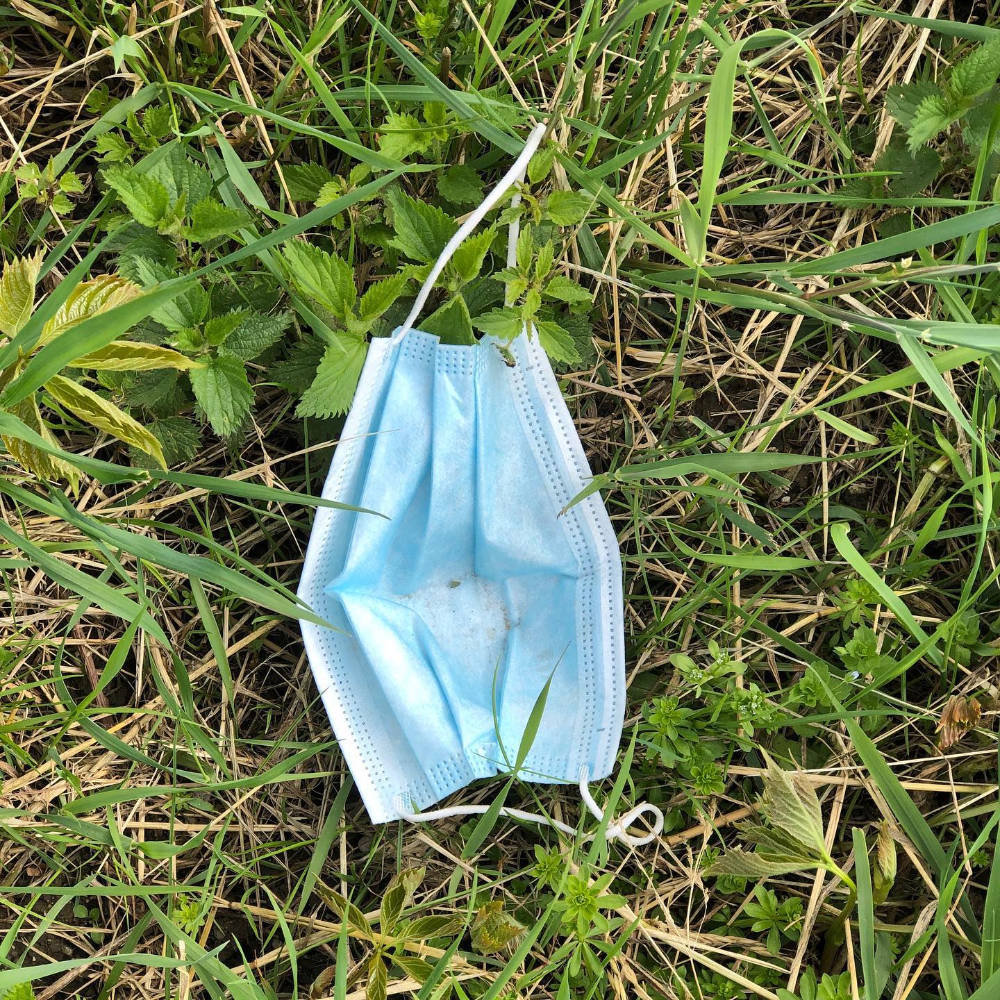 Another âcigarette buttâ.
Encore un âmÃ©gotâ