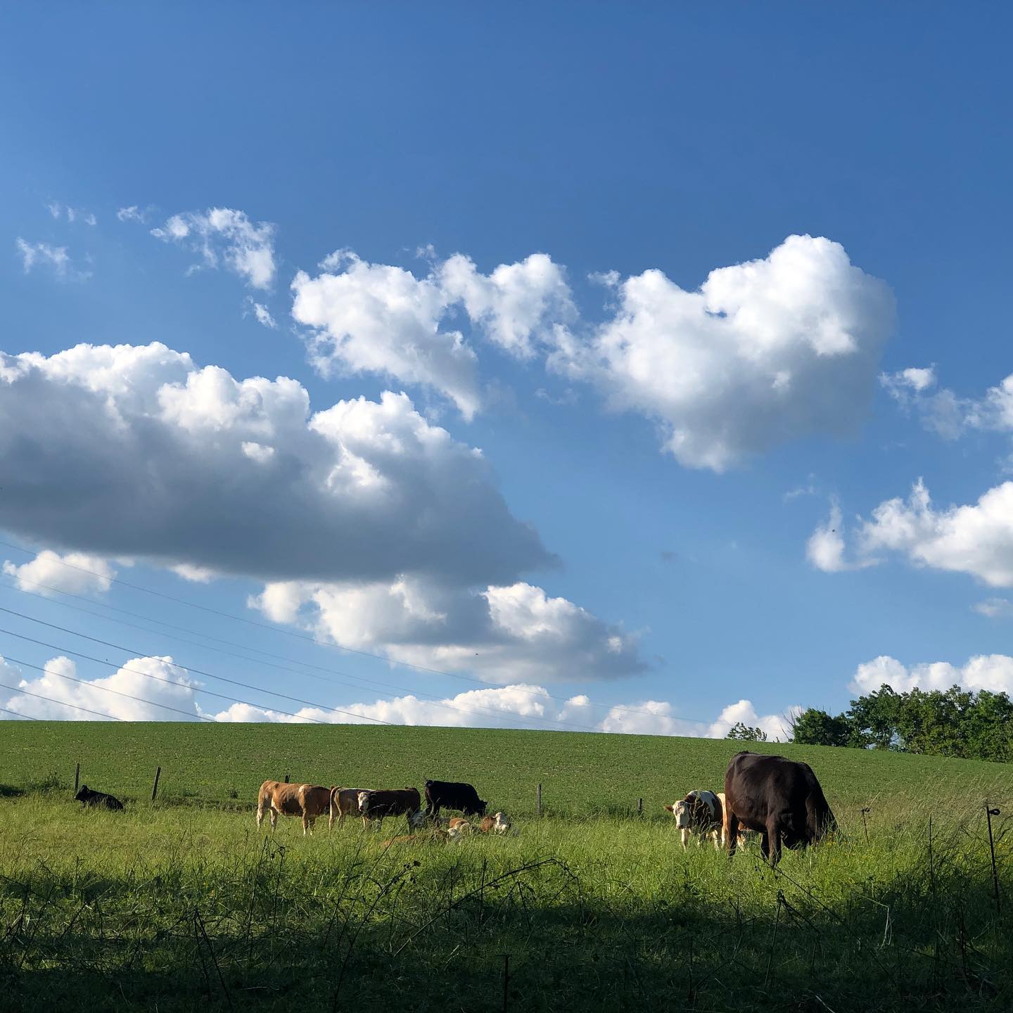 From yesterdayâs walk.