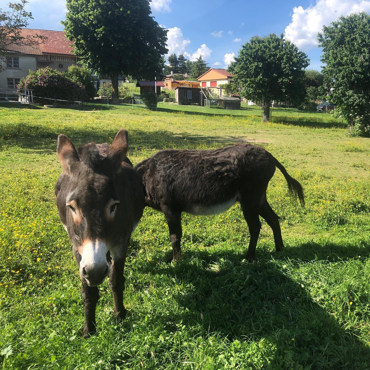 âGet your head out of my ***â caption contest.