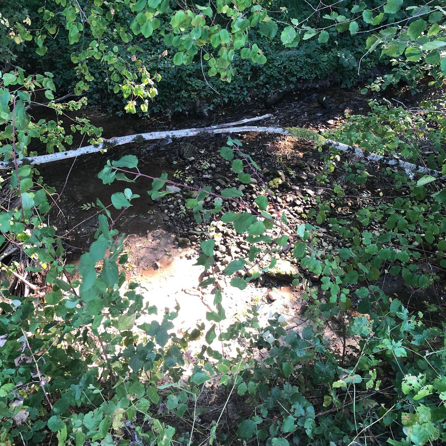 Rain is something I look forward to now. Itâs so rare that I romanticise rain like someone living in a desert. Itâs not quite the Atacama desert yet.