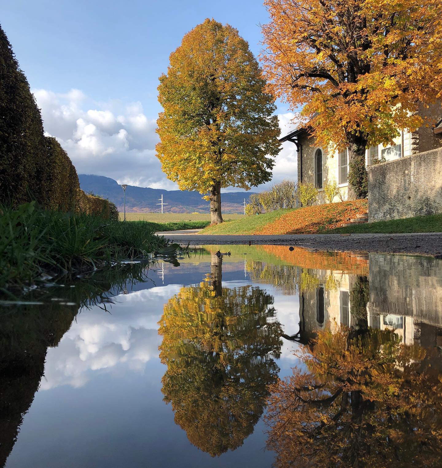 Herbst, autumn, lâautomne. And a puddle.