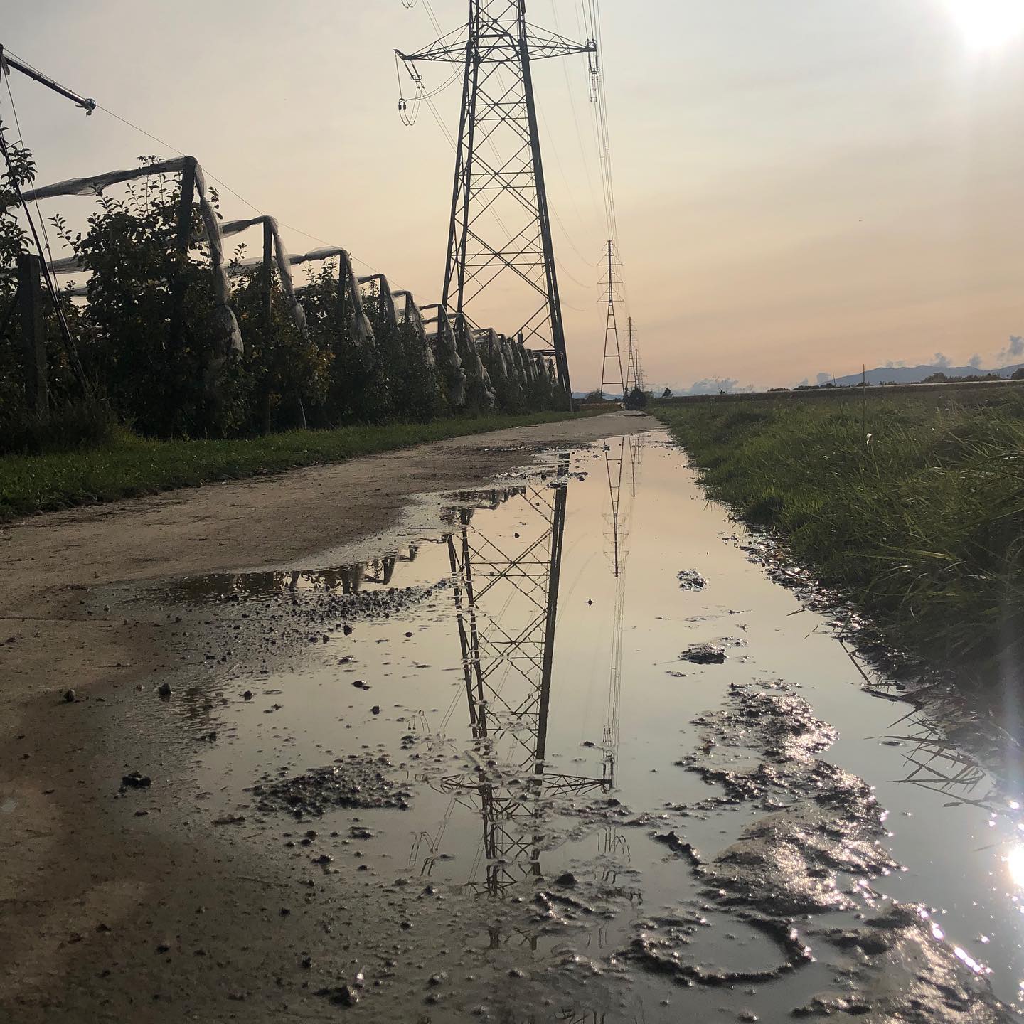 From a few walks ago.