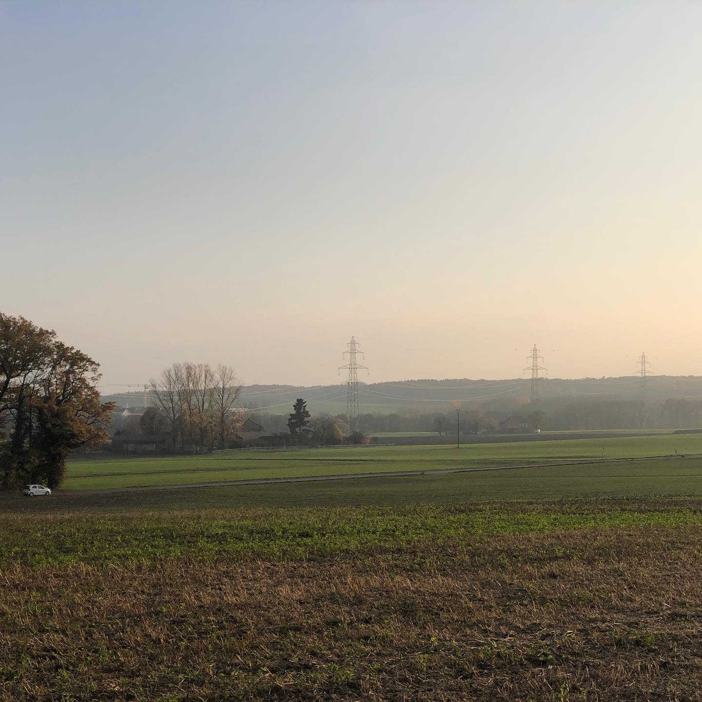 During my vitamin D event. I.e daily walk.