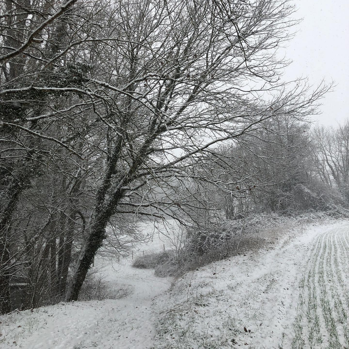 Because for once the weather is not boring. For once it has character.