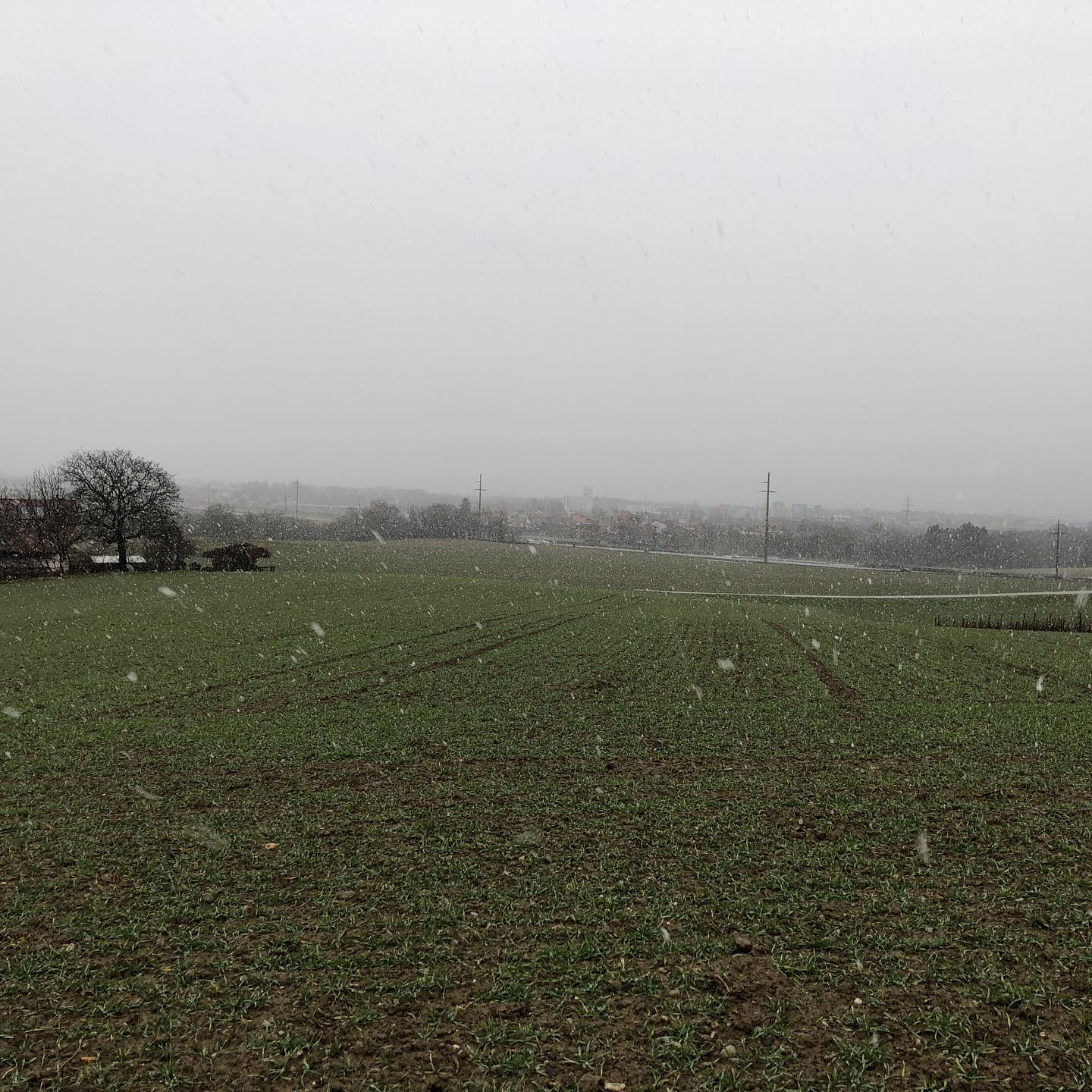 Someone stole the lake and the Alps.