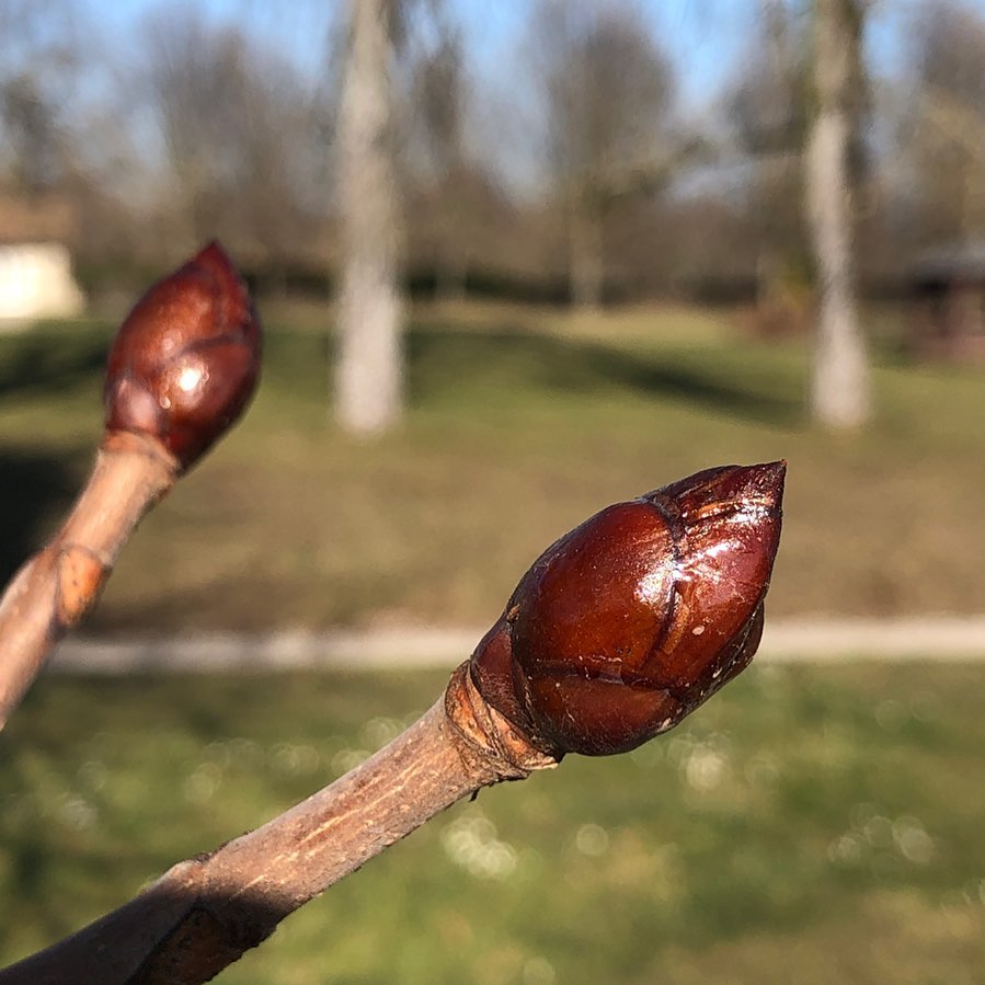 That time of the year.