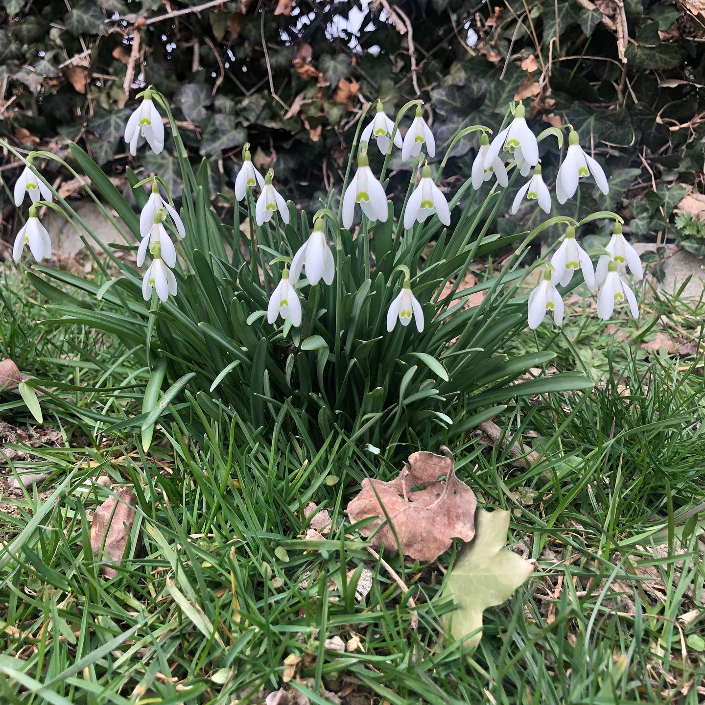 I didnât spend enough time framing this shot.