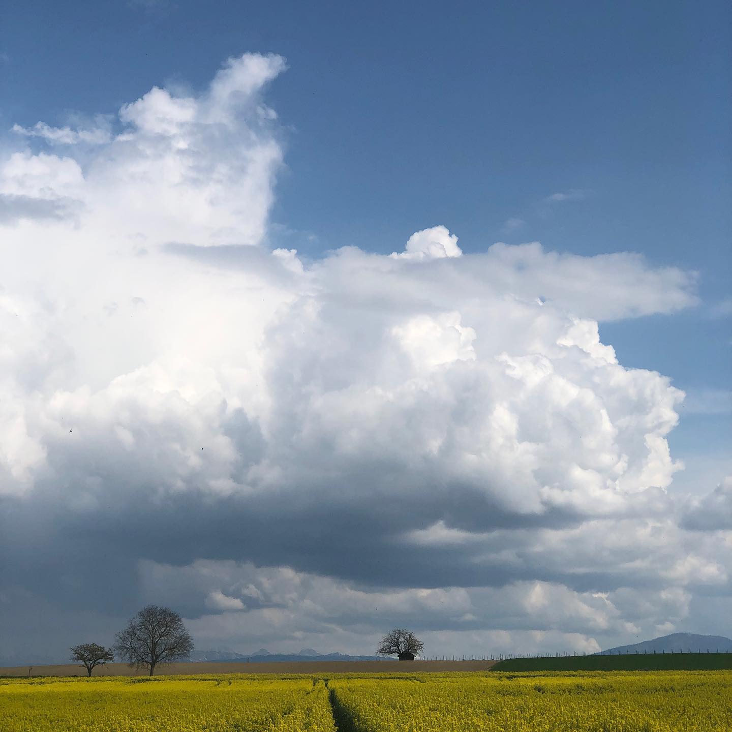 Yes, this is Switzerland.