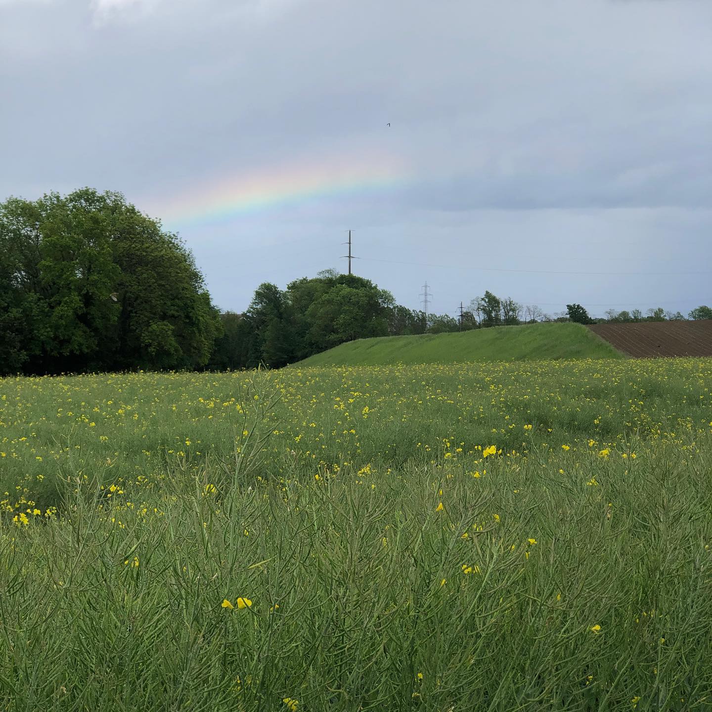 Life canât just be about rainboâ¦. Ok, never mind.