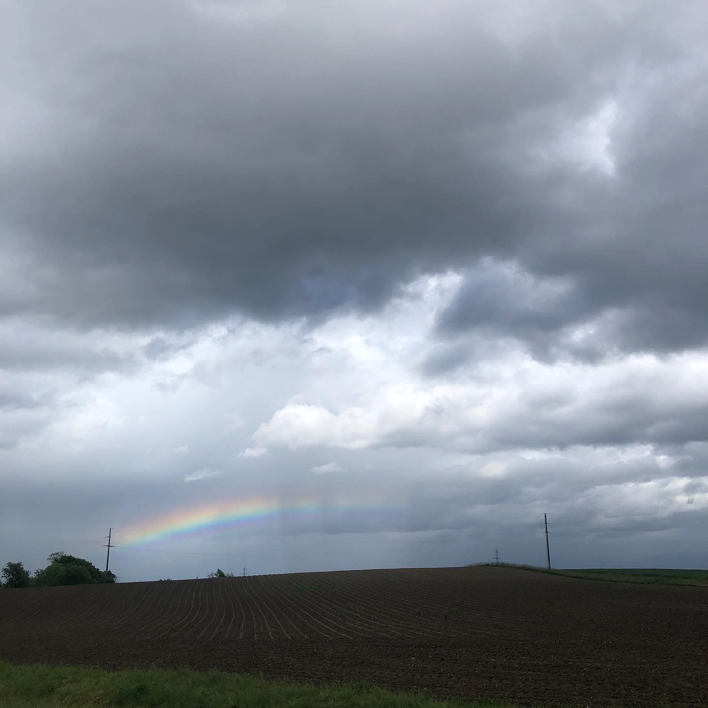 Homicidal drivers made me angry this walk but it ended with a rainbow.