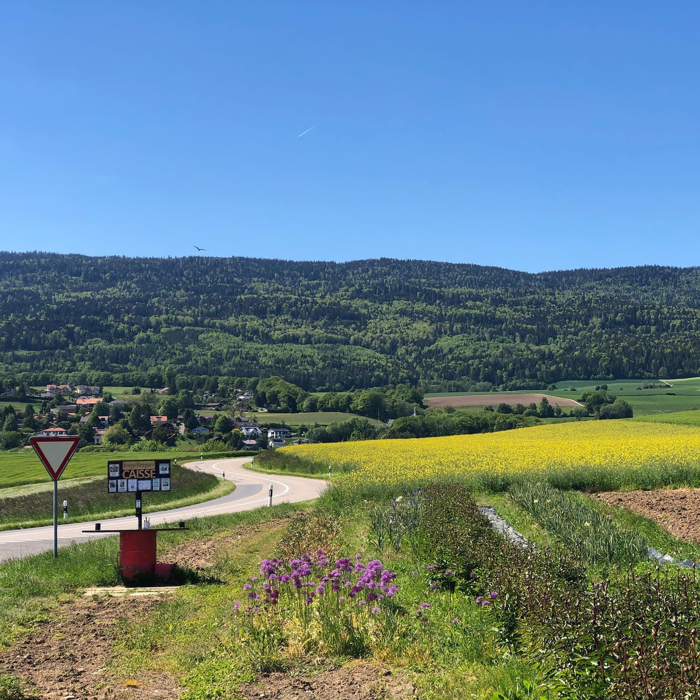 @_petitepixie_ the day I had so far. Bike ride in this landscape.