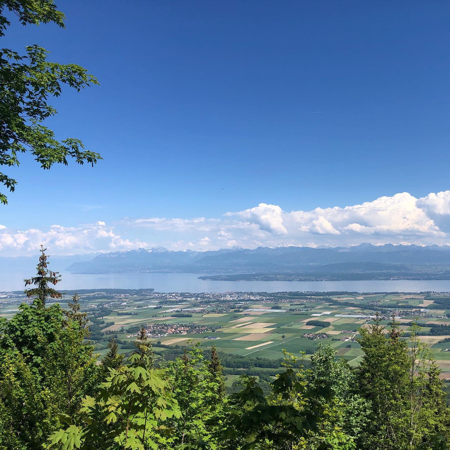 Slightly higher than usual. Finally made it to the top via the La Rippe steep road over the Jura on the bike. Itâs physical all the way up.