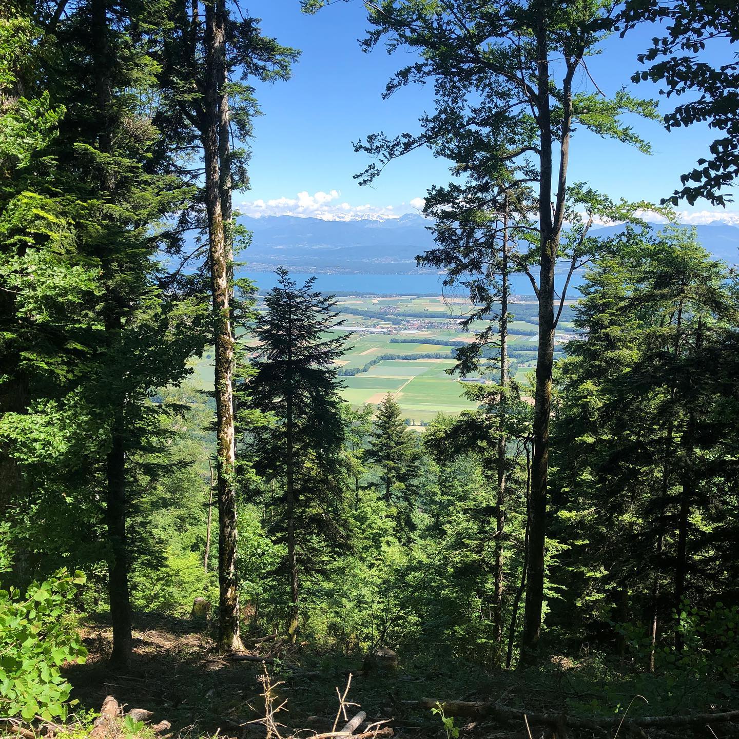 Went up a steep hill again.