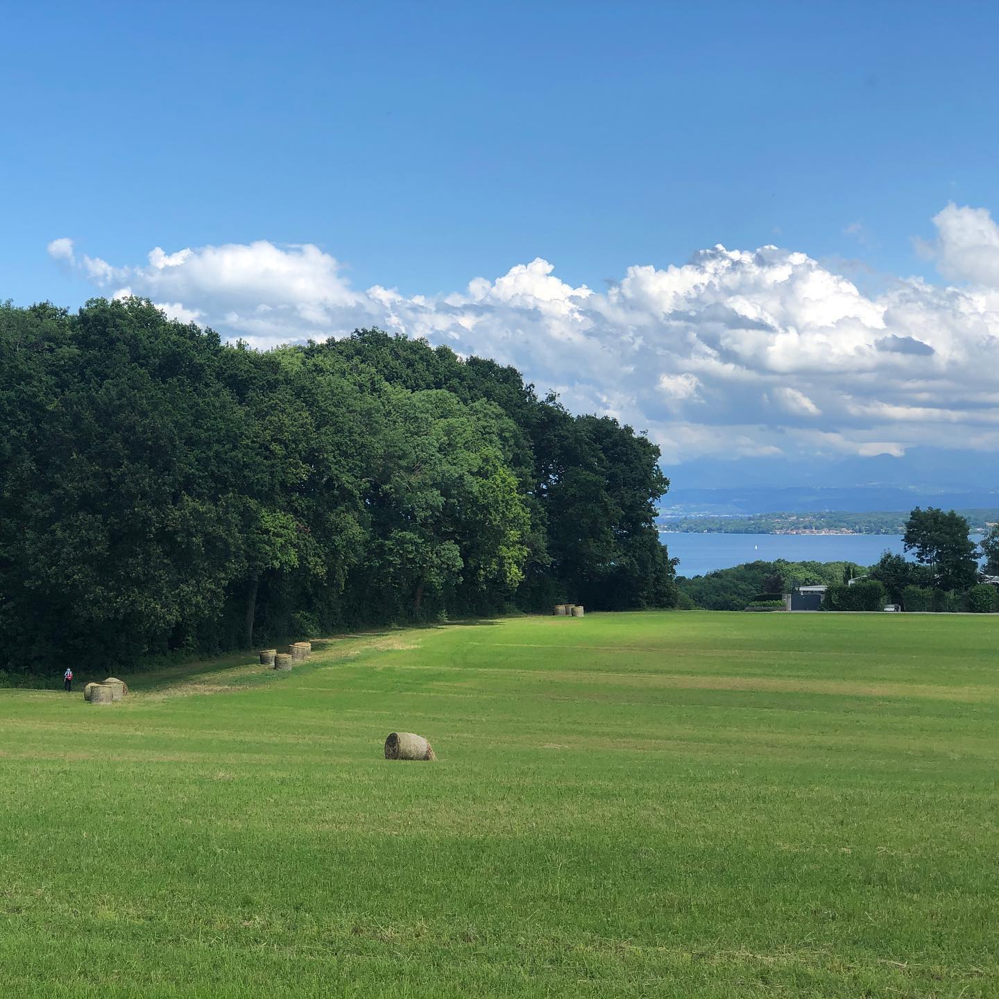 Green Grass, Hay bails, Trees and the Léman