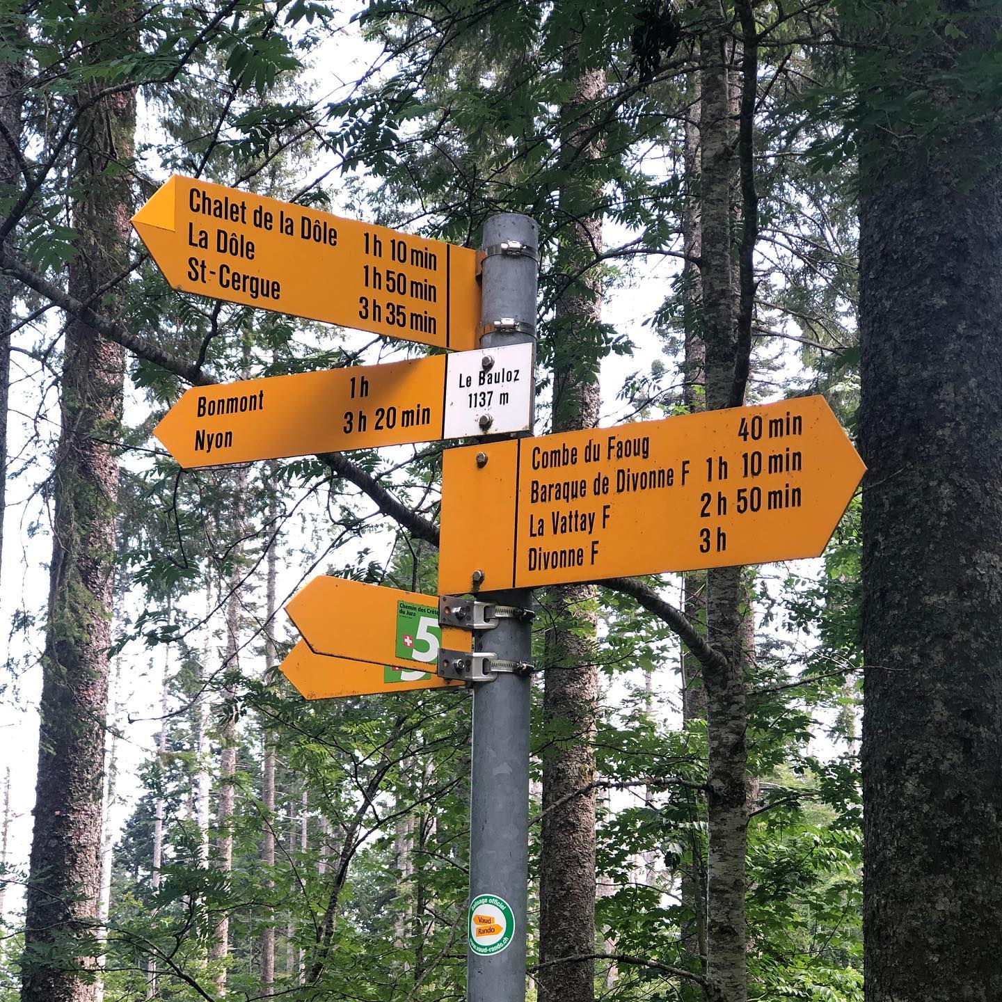 Apparently I missed seeing a lynx. Would I be scared? No. I saw deer on other trips. I saw one two bike rides away. Wild animals usually flee.