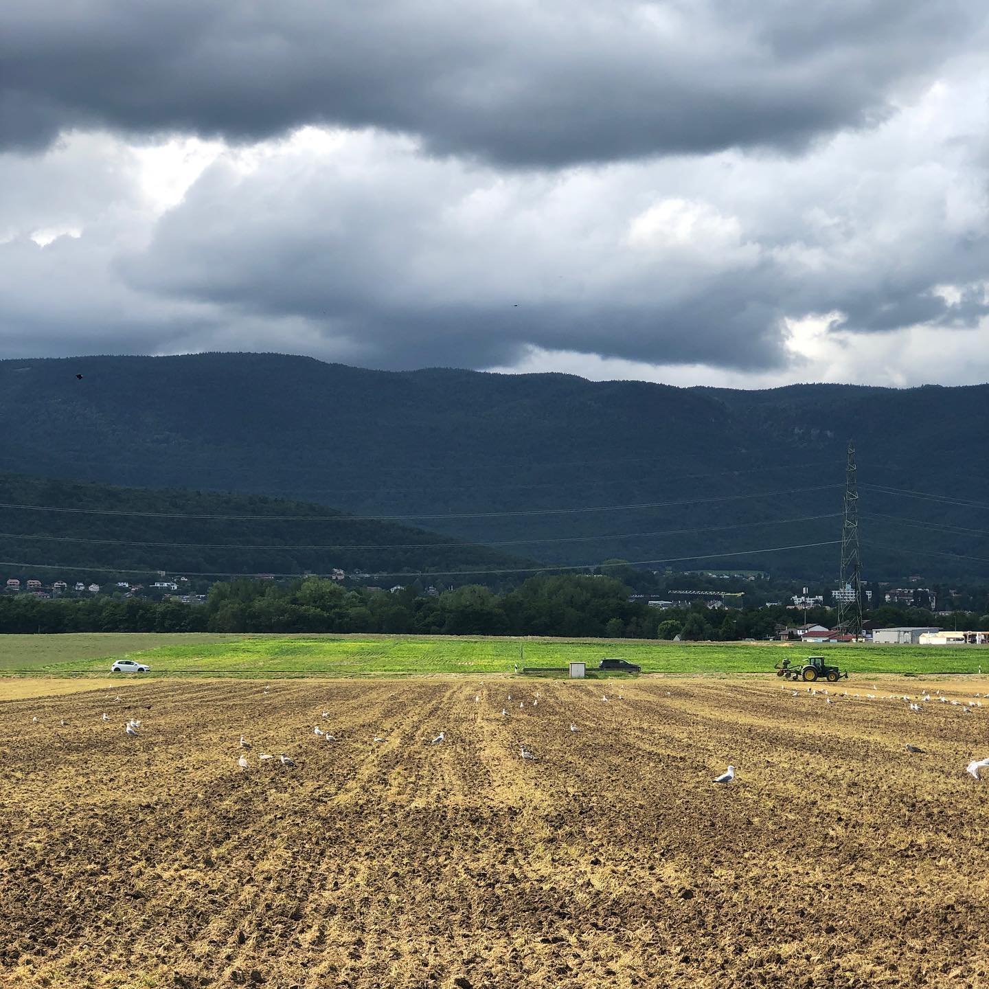 That time of the crop cycle where vegetarian food causes animal deaths. ;-)