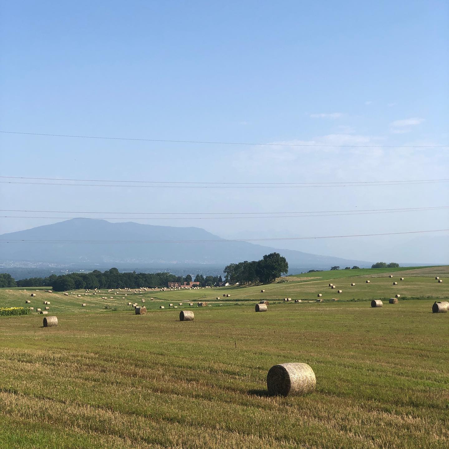 People cry about a few days of rain but rain is normal for Switzerland. Look at all that hay. People quickly forget that we had three years or more of drought.