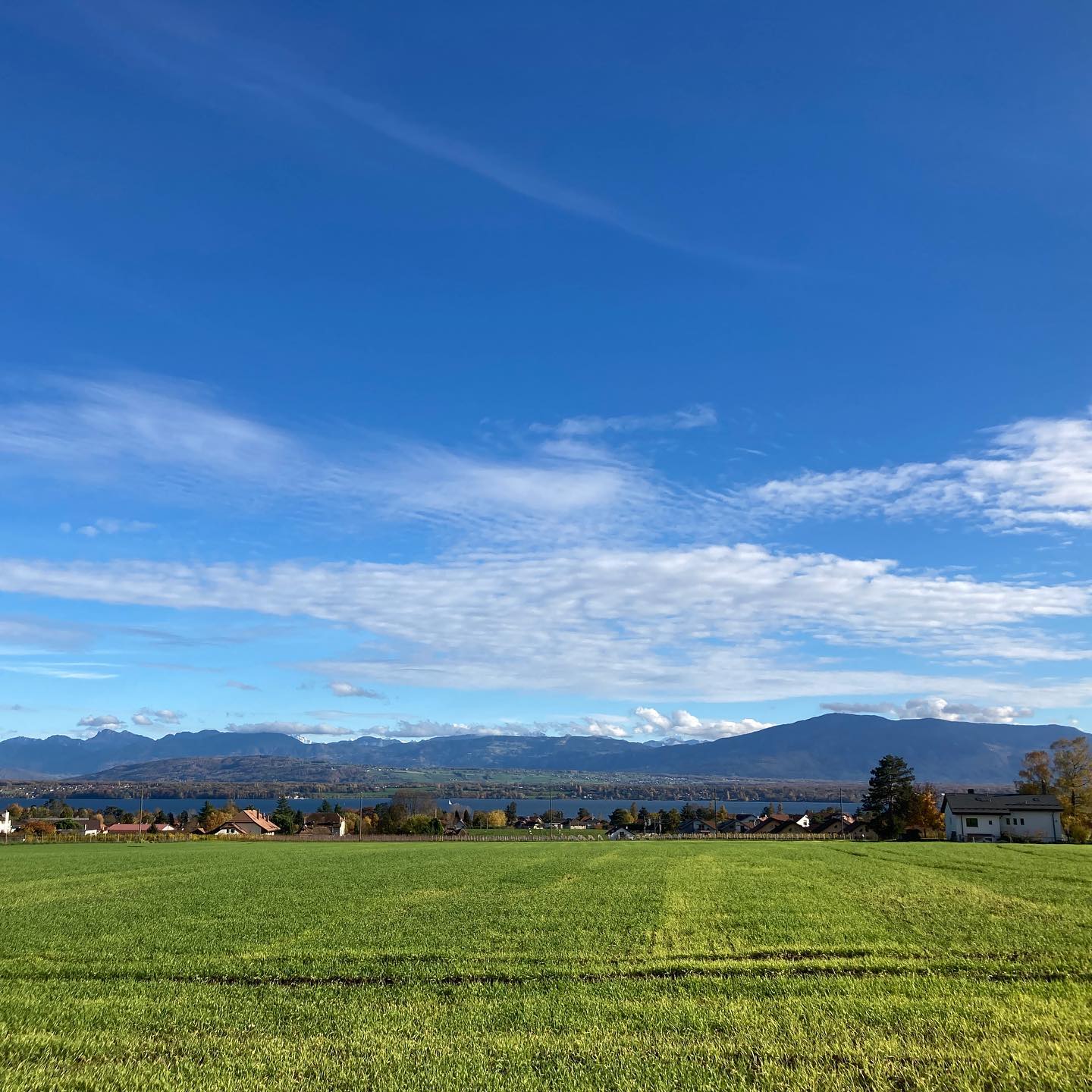 View of the Alps and the Léman